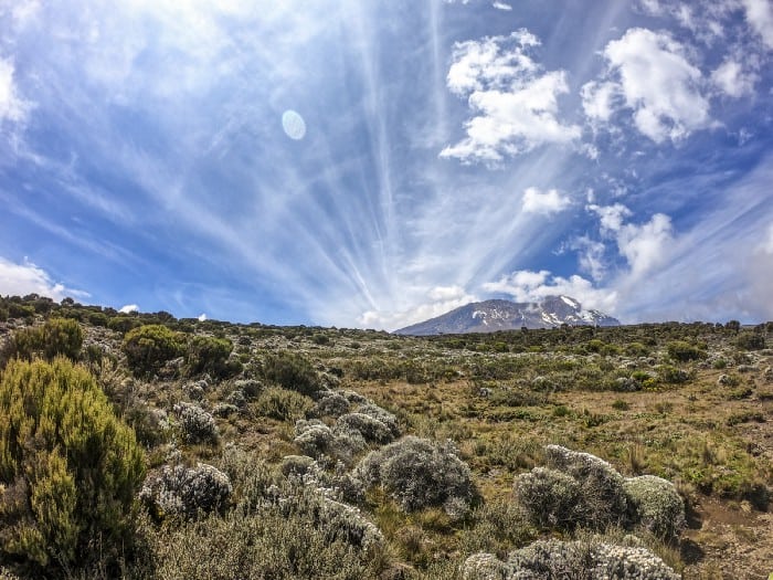 Leave No Trace on Kilimanjaro: A Tale of Hard Work, Opportunity and Cooperation