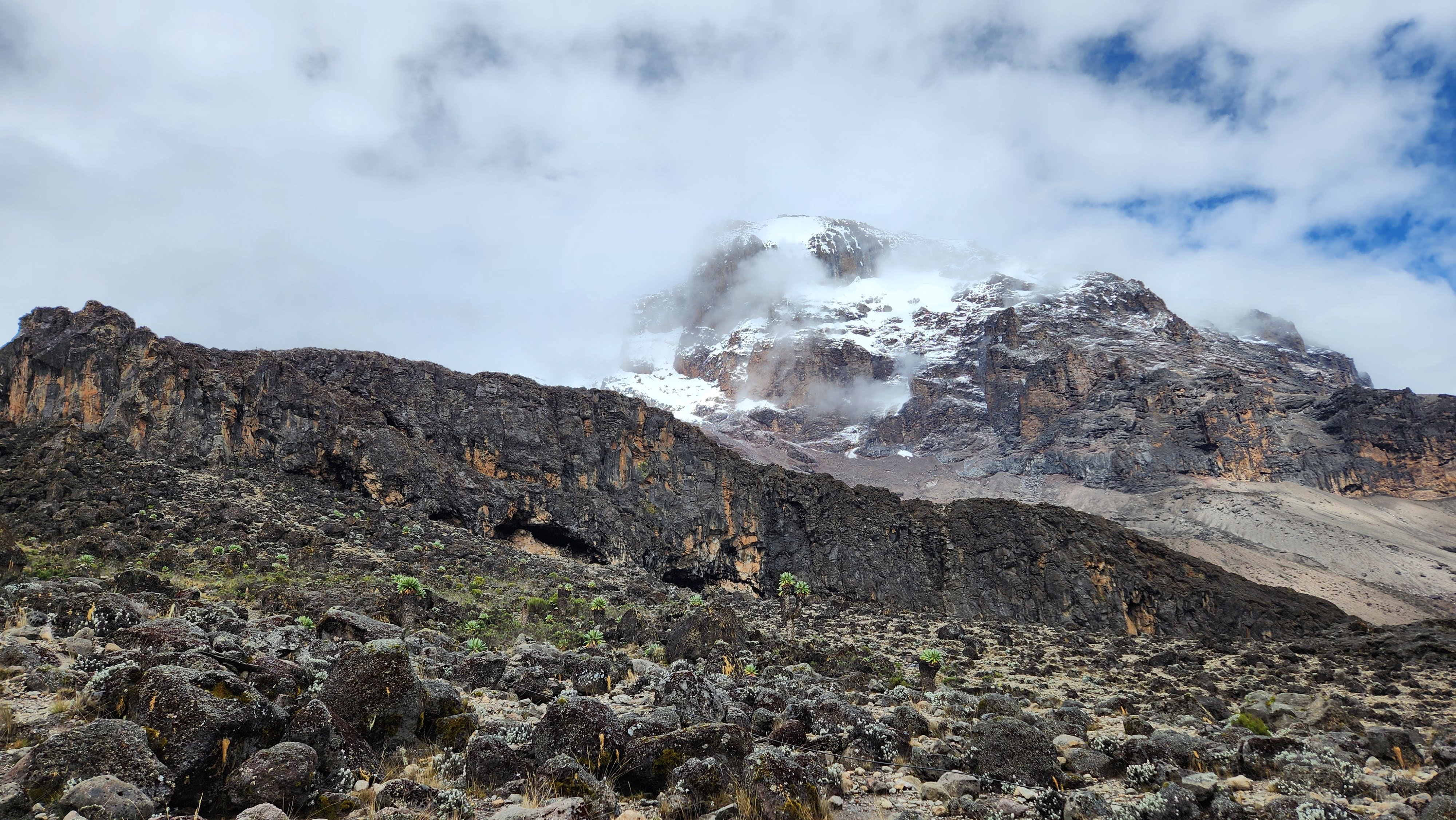Snow-capped summit 
