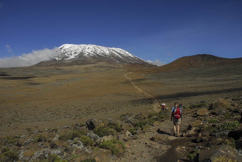 trekking toward mt. kilimanjaro