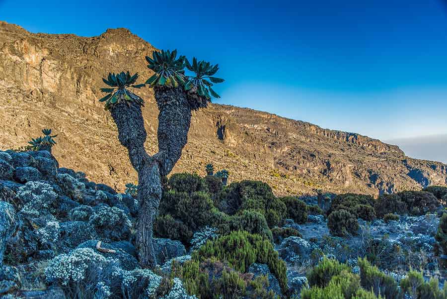 Barranco Valley