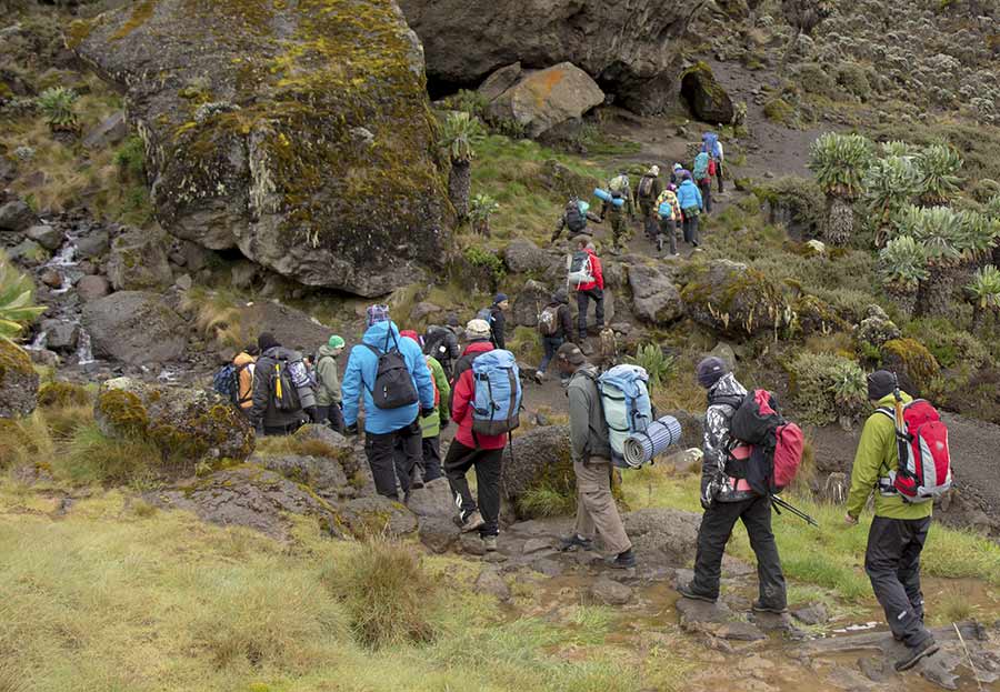 daily kilimanjaro schedule