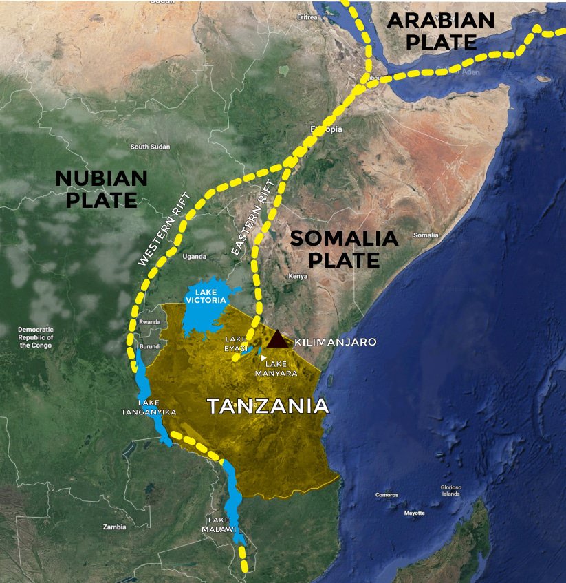 Why Should You Go to Lake Manyara National Park?