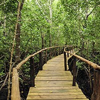 Things to do in Zanzibar