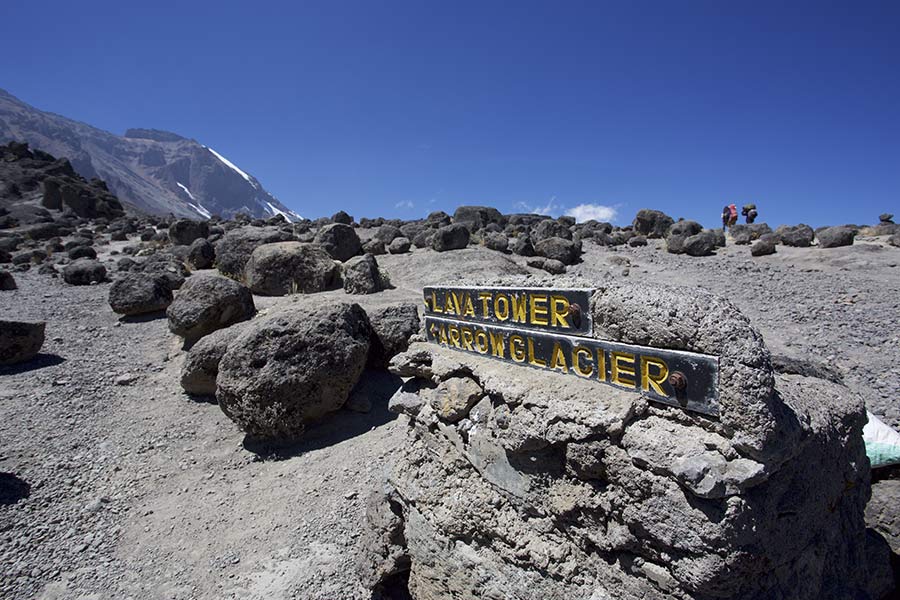 lava tower kilimanjaro