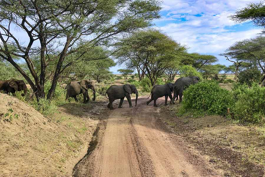 Lake Manyara National Park