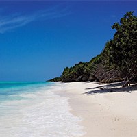 Things to do in Zanzibar