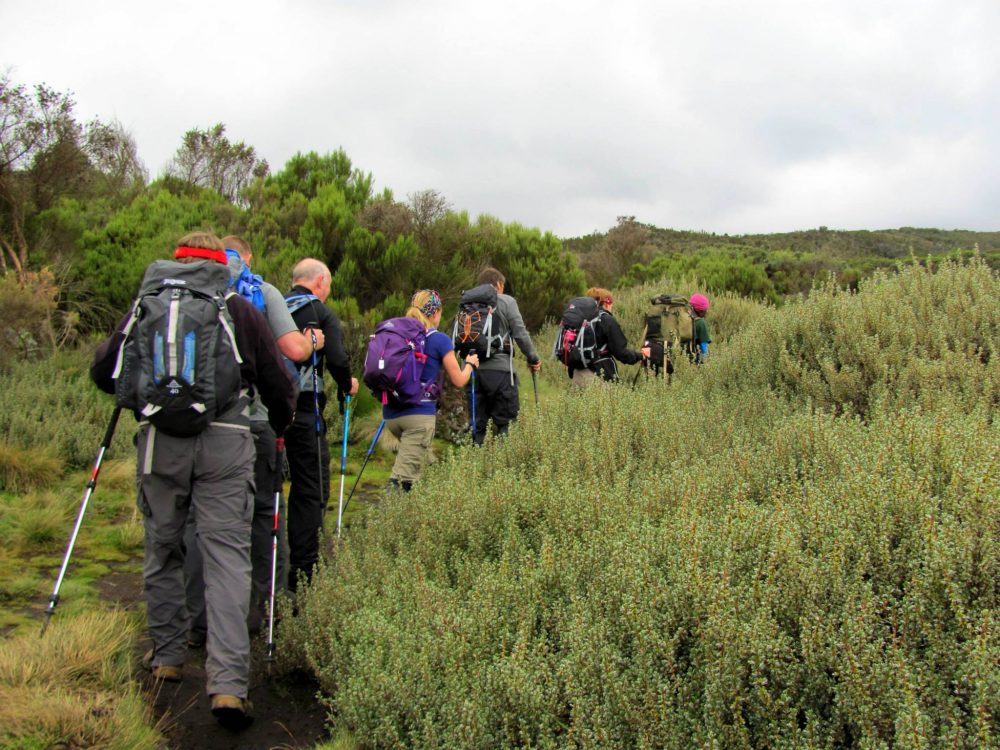 Climbing Kilimanjaro With a Peak Planet Group - A Past Client's Experience