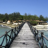 Things to do in Zanzibar