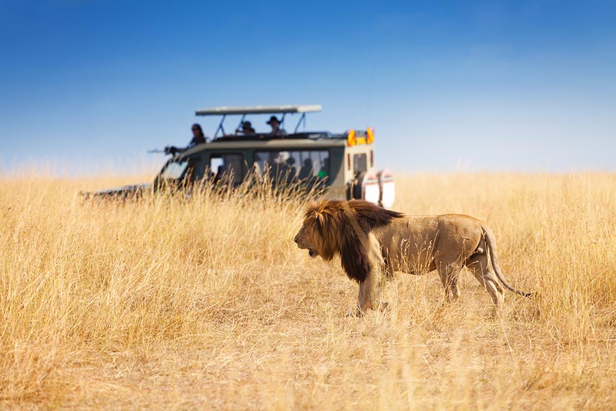 Things I wish I knew before doing a safari