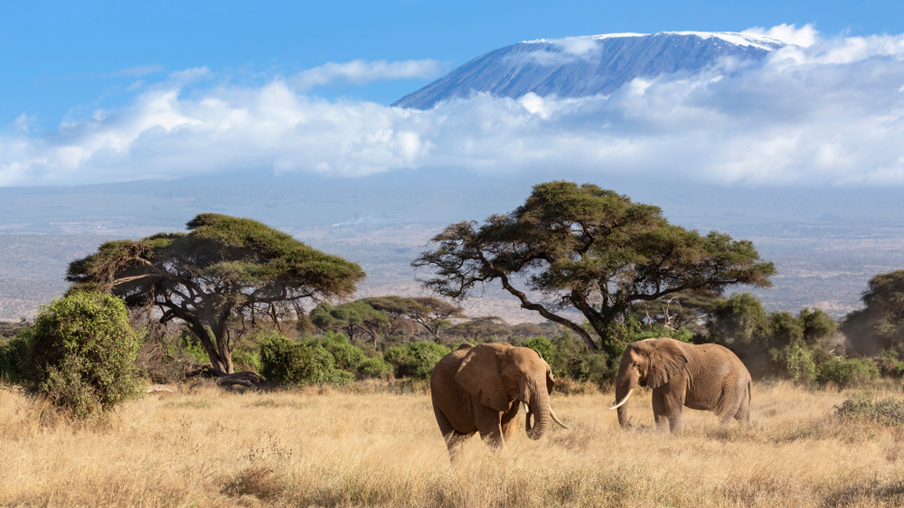 Is Climbing Kilimanjaro Worth the Cost?