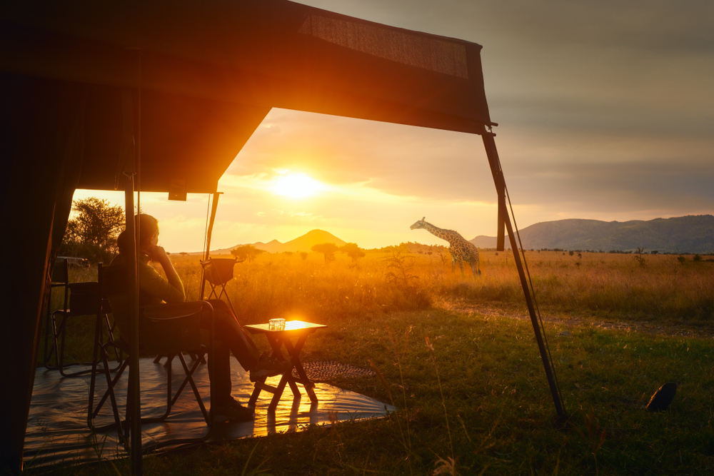 Should I Go on a Tanzanian Safari?