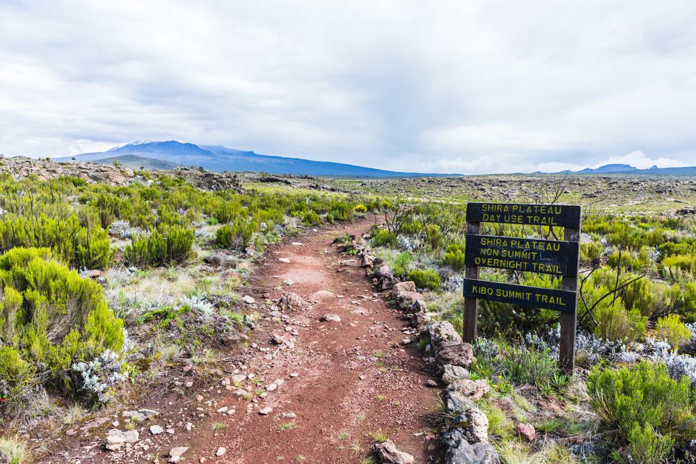 "Why I Climbed Kilimanjaro" - How People Make the Decision to Do It.