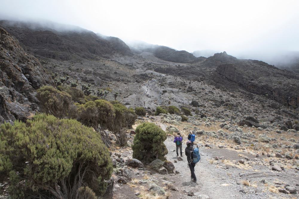 6 Things You Can Do to Boost Your Chances of Summiting Kilimanjaro (After You’ve Booked)
