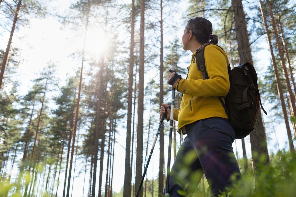 Why You Should Use Trekking Poles on Kilimanjaro