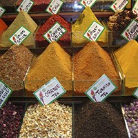 Things to do in Zanzibar