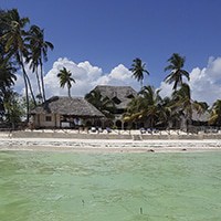 Things to do in Zanzibar