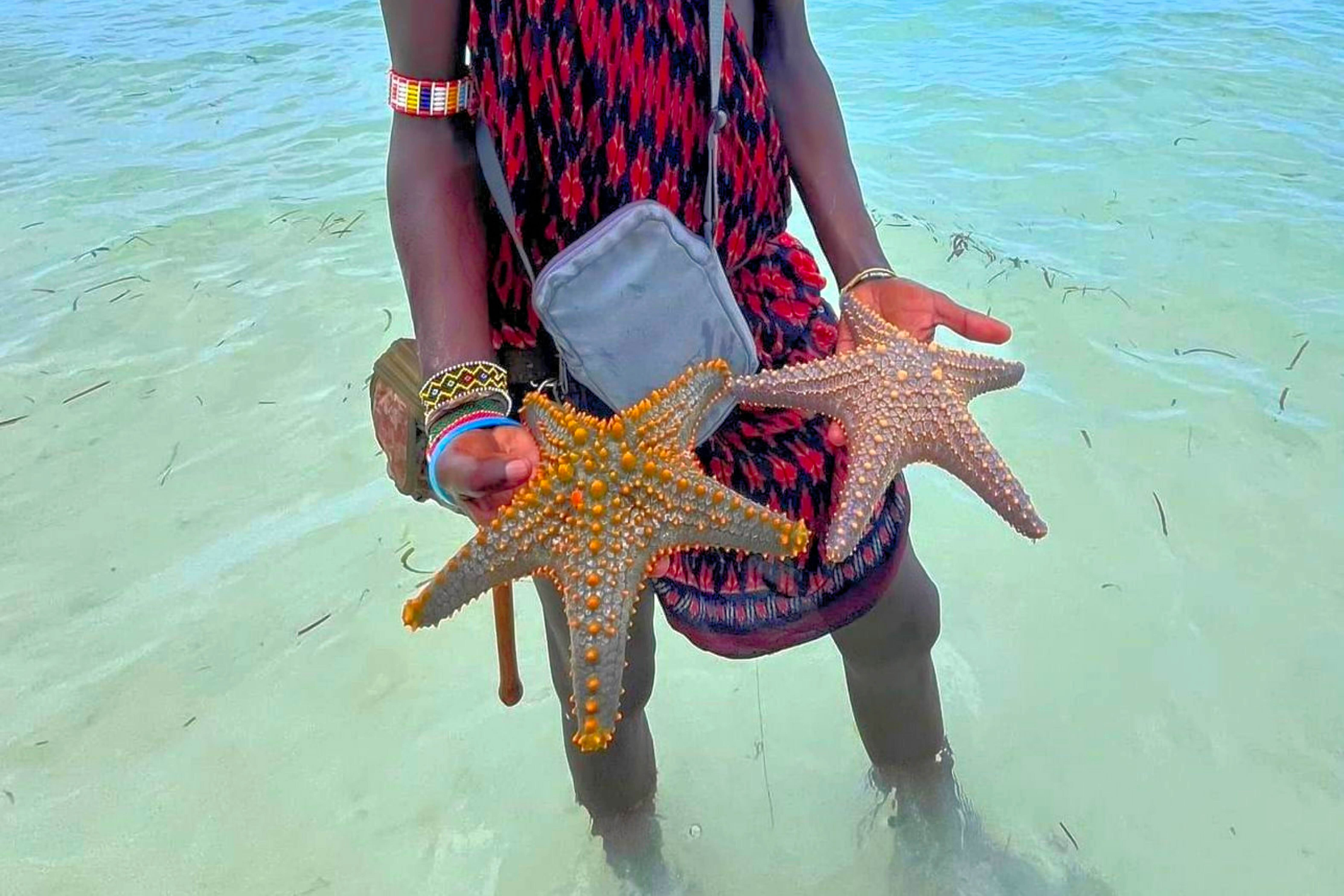 Starfish, low tide flats